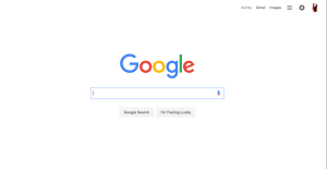 This is a screenshot of Google's home page: notice the simplicity. 